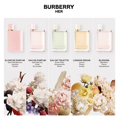 burberry her fragrantica